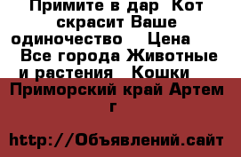 Примите в дар. Кот скрасит Ваше одиночество. › Цена ­ 0 - Все города Животные и растения » Кошки   . Приморский край,Артем г.